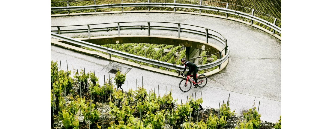 BMC Teammachine SLR01 Disc THREE Sram Force AXS / 2020 11