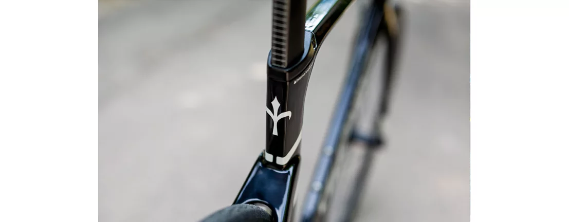 Wilier 101AIR RIM Ultegra RS100 20