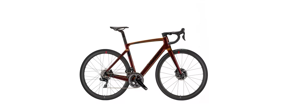 Wilier 110 HYBRID Dura Ace Di2 Ultralight 38' / 2021 фото Wilier 110 HYBRID Dura Ace Di2 Ultralight 38' / 2021 фото