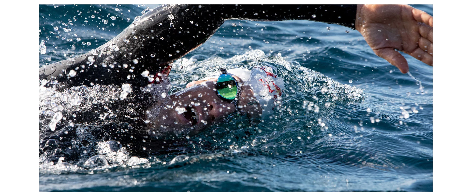 Orca Predator / 2021 / Мужской гидрокостюм для триатлона и открытой воды фото 3