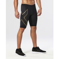 2XU Elite MCS Compression Shorts / Мужские компрессионные шорты фото