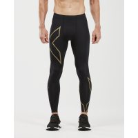 2XU MCS Run Compression Tight Back Storage / Мужские компрессионные тайтсы фото