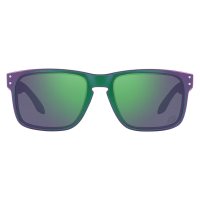 Oakley Holbrook Troy Lee Designs Series / Очки фото 1