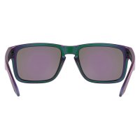 Oakley Holbrook Troy Lee Designs Series / Очки фото 3