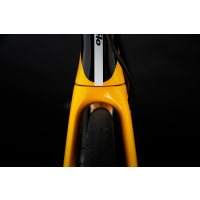 Cervelo P-Series Disc Ultegra / 2020 фото 1