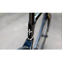 Wilier 101AIR RIM Ultegra RS100 20