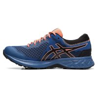 Asics GEL-Sonoma 4 GTX W / Женские кроссовки для бега по пересеченной местности фото 1