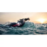 Orca Predator / Мужской гидрокостюм для триатлона и открытой воды фото 7