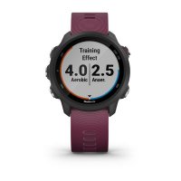 Garmin Forerunner 245 Вишневый / Смарт-часы беговые с GPS фото 6