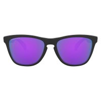 Oakley Frogskins / Очки фото 1