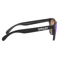 Oakley Frogskins / Очки фото 4