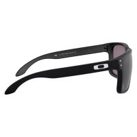 Oakley Holbrook Xl / Очки фото 4