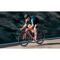 BMC Teammachine SLR Six Plus Ultegra Disc 11v Red Prisma / 2023 фото 5