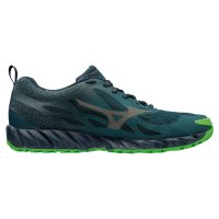 Mizuno Wave Ibuki GTX  (UK) / Мужские кроссовки для бега по пересеченной местности фото 1