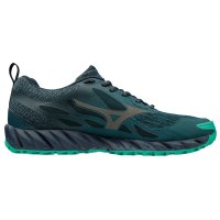 Mizuno Wave Ibuki GTX W (UK) / Женские кроссовки для бега по пересеченной местности фото 1