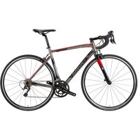 Wilier Montegrappa Tiagra / Велосипед шоссейный  фото