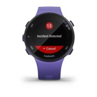 Garmin Forerunner 45s ирис фото 7