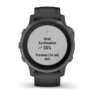 Garmin Fenix 6s Sapphire серый DLC с черным ремешком фото 4