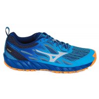 Mizuno Wave Ibuki GTX W (UK) / Женские кроссовки для бега по пересеченной местности фото 1