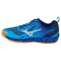 Mizuno Wave Ibuki GTX W (UK) / Женские кроссовки для бега по пересеченной местности фото