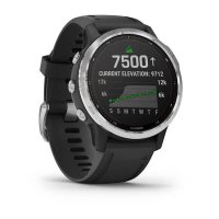 Garmin Fenix 6s Solar серебристый с черным ремешком фото 1