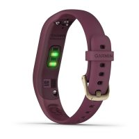 Garmin Vivosmart 4 бордовые с золотом фото 6