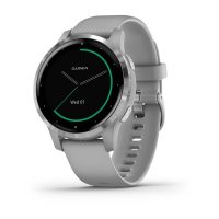 vivoactive 4s серые с серебристым безелем  фото