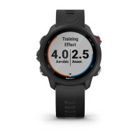 Garmin Forerunner 245 Music черный фото 1