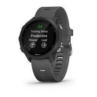 Garmin Forerunner 245 серый фото