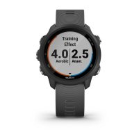 Garmin Forerunner 245 серый фото 4