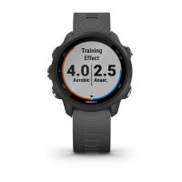 Garmin Forerunner 245 серый фото 1
