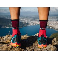 Compressport Pro Racing Socks Winter Trail / Носки утепленные фото 1