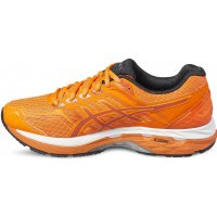 Asics GT-2000 5 / Кроссовки Мужские фото 2