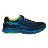 Asics GT1000 7 GTX / Мужские кроссовки фото