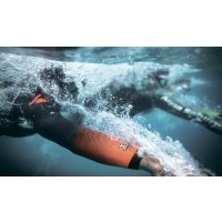 Phelps Pursuit Wetsuit W / Женский гидрокостюм для триатлона и откртыой воды фото 1