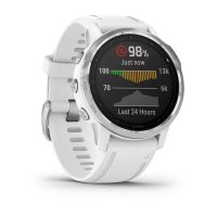 Garmin Fenix 6S / Смарт-часы беговые с GPS, HR и Garmin Pay фото 2