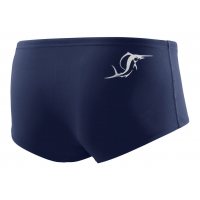 SailFish Mens Power Sunga Dark Blue / Транки фото 1