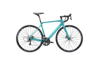 Pardus Robin Sport Disc Sora / 2023