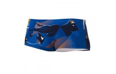 Z3R0D Trunks Ravernman Blue-Orange / Транки (ZRDTRBO)