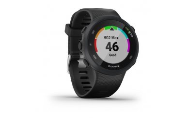 Garmin Forerunner 45s черный