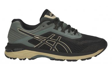 Asics GT-2000 6 Trail Plasmaguard / Мужские кроссовки