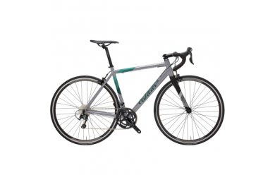 Wilier Montegrappa 105 RS100 Grey-Green / 2024