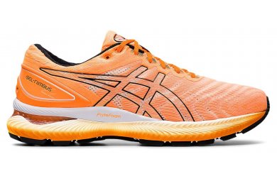 Asics GEL-Nimbus 22  / Мужские кроссовки