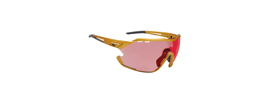 Northug Gold Gold Standard / Очки стандартной ширины фото 1 Northug Gold Gold Standard / Очки стандартной ширины фото 1