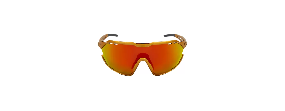 Northug Gold Gold Standard / Очки стандартной ширины фото 2 Northug Gold Gold Standard / Очки стандартной ширины фото 2