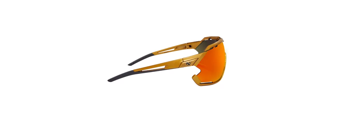 Northug Gold Gold Standard / Очки стандартной ширины фото 3 Northug Gold Gold Standard / Очки стандартной ширины фото 3