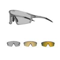 MOEG MO8880 Photochromic Transparent Gray Gold / Очки фото 1