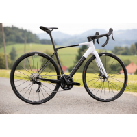 Superior X-ROAD 9.3 GF Carbon White / 2025 фото 2