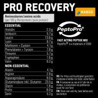 Sponser Pro Recovery Манго / Восстановительный комплекс (800g) фото 3