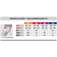 Compressport TRIATHLON BRUTAL SHORT / Шорты для триатлона мужские фото 1